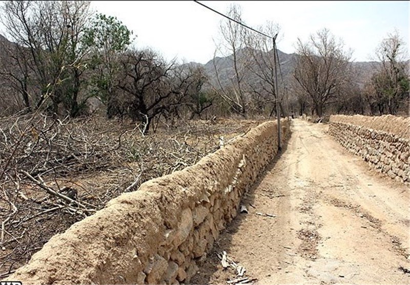 خشکسالی و کمبود آب معیشت کشاورزان اردستان را دچار چالش کرده است