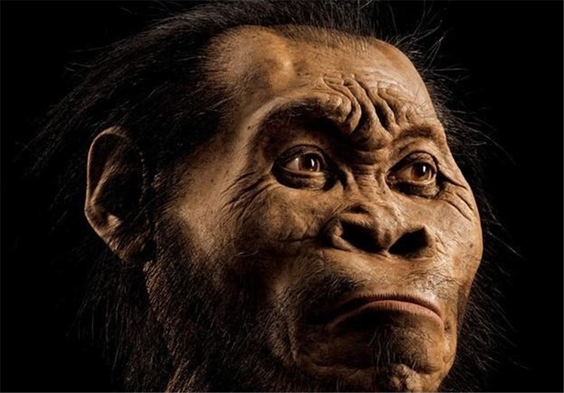 New Species of Ancient Human Discovered, Claim Scientists Science