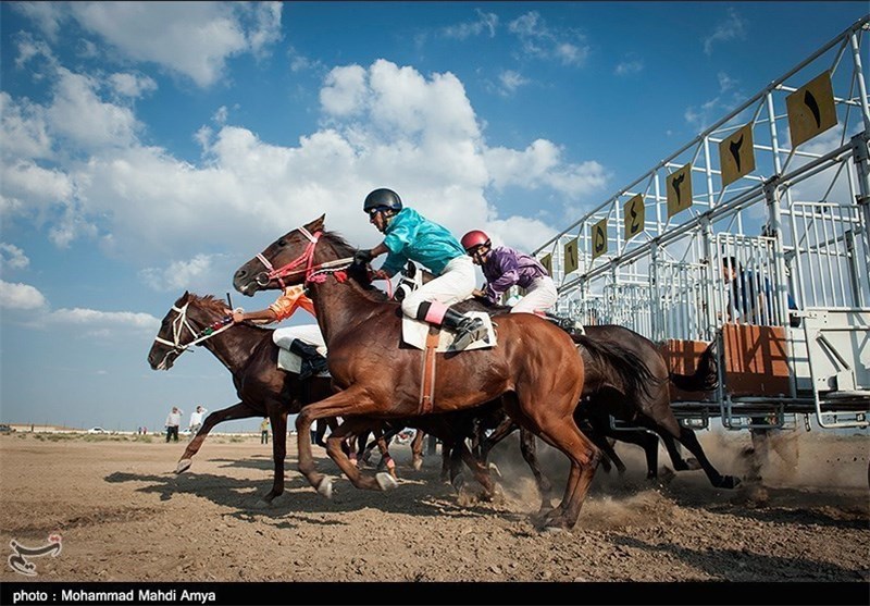 همایش سوارکاری، چوگان و کمان‌گیری روی اسب در استان البرز برگزار می‌شود