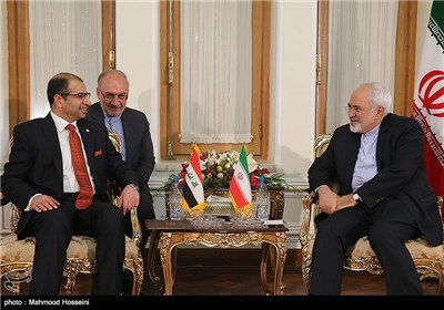 دیدار رئیس مجلس عراق با ظریف