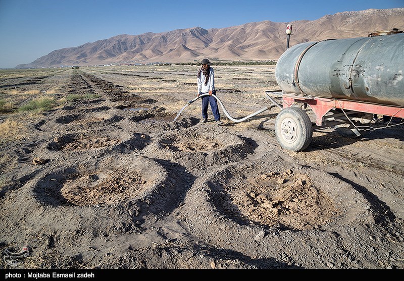 آذربایجان غربی استان پایلوت نظام نوین ترویج کشاورزی انتخاب شد/کمک به روند احیای دریاچه ارومیه