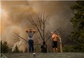 Destruction from California Wildfires Now Tops 1,000 Homes