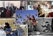 طرح‌های کارآفرینی با مهارت افزایی در روستاهای استان بوشهر اجرا می‌شود