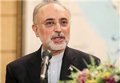 Iran’s Salehi Goes to Japan for Nuclear Safety Talks