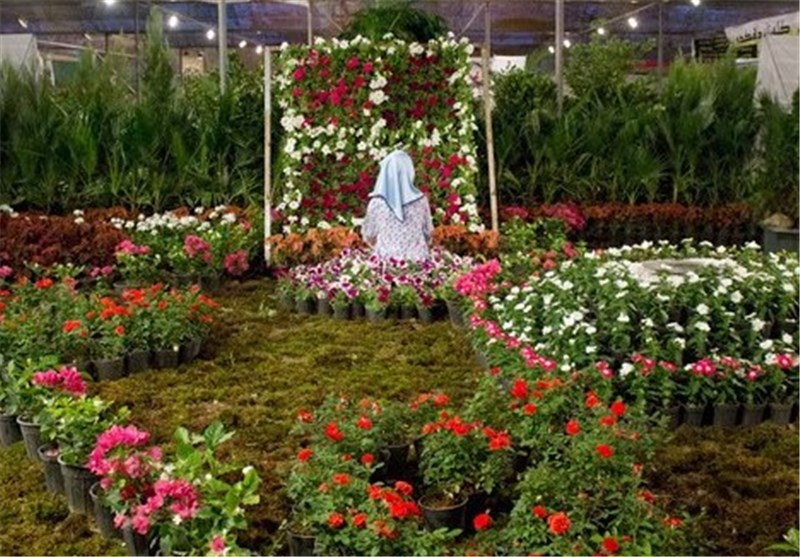 زمینه توسعه صنعت گل و گیاه در دلیجان با هدف اشتغالزایی فراهم شود