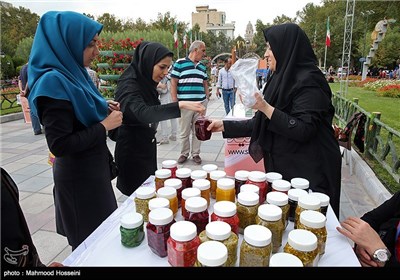 جشنواره غذا به نفع کودکان بی سرپرست