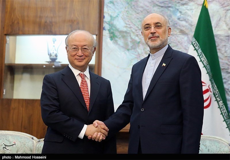 Iran’s Salehi, IAEA Chief Hold Talks in Tehran