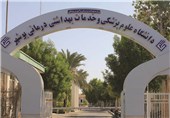 52 درصد دانشجویان پذیرش شده دانشگاه علوم پزشکی بوشهر بومی هستند