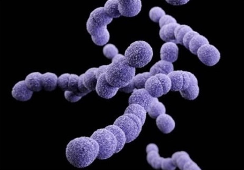 Scientists Sequence Streptococcus Bacteria Strain Causing Severe Infections