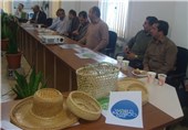 نخستین جمعیت جهادی نجات بامبو در استان گیلان تشکیل شد