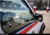 SAR Dogs Being Trained by Iran’s Red Crescent Society