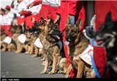 SAR Dogs Being Trained by Iran’s Red Crescent Society