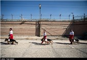 SAR Dogs Being Trained by Iran’s Red Crescent Society
