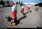 SAR Dogs Being Trained by Iran’s Red Crescent Society
