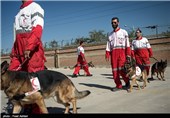 SAR Dogs Being Trained by Iran’s Red Crescent Society
