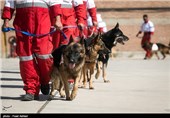 SAR Dogs Being Trained by Iran’s Red Crescent Society