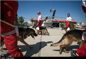 SAR Dogs Being Trained by Iran’s Red Crescent Society