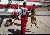 SAR Dogs Being Trained by Iran’s Red Crescent Society