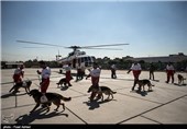SAR Dogs Being Trained by Iran’s Red Crescent Society