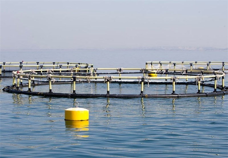 Iran, France Inaugurate Fish Farm on Southern Iranian Island