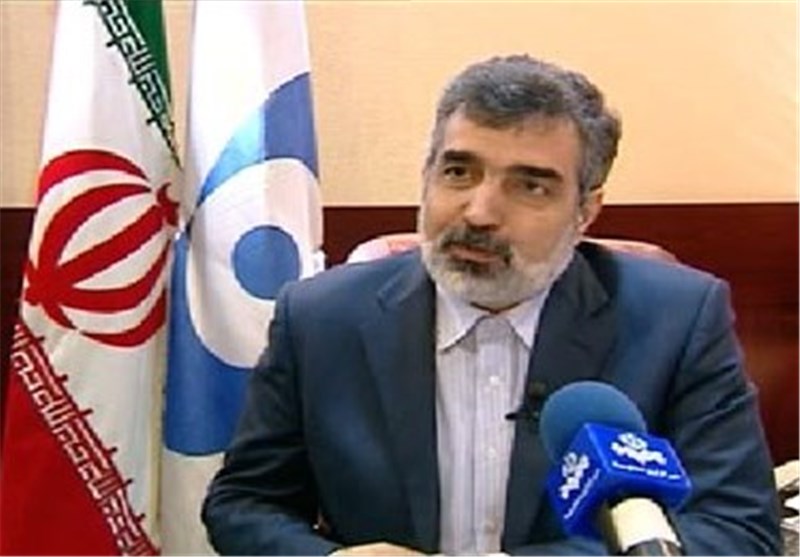 Iran Waiting for IAEA Report for Removing Centrifuges: Spokesman