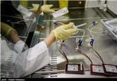 استخراج اطلاعات ژنتیکی 48 هزار نمونه خون ذخیره در بانک خون بند ناف رویان