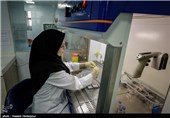 ‌نیروهای متخصص برای آزمایشگاه دامپزشکی استان قزوین جذب می‌شود