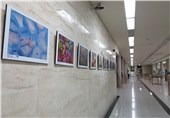 جشنواره بین‌المللی عکس خیام در ارومیه برپا شد