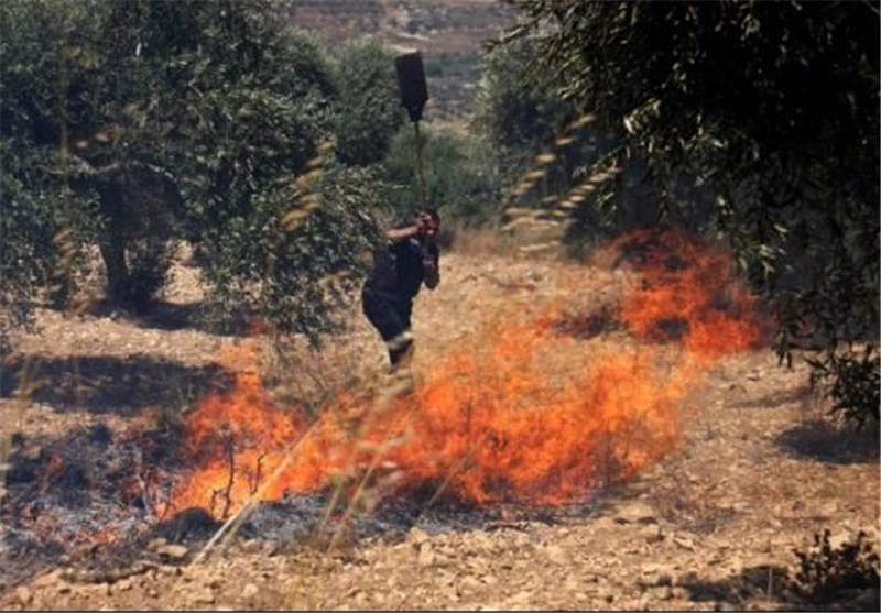 شهرک‌نشینان صهیونیست اراضی فلسطینیان را به آتش کشیدند