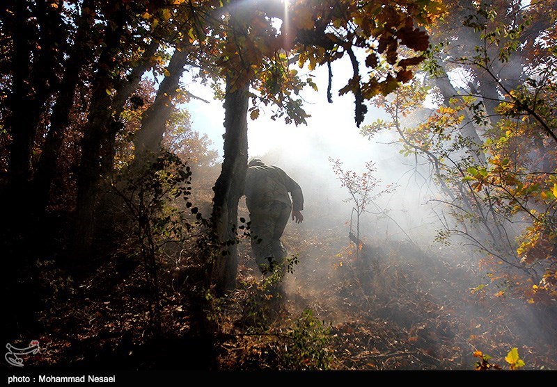 تازه‌ترین جزییات درباره آتش‌سوزی پارک ملی گلستان و میزان خسارتهای وارده