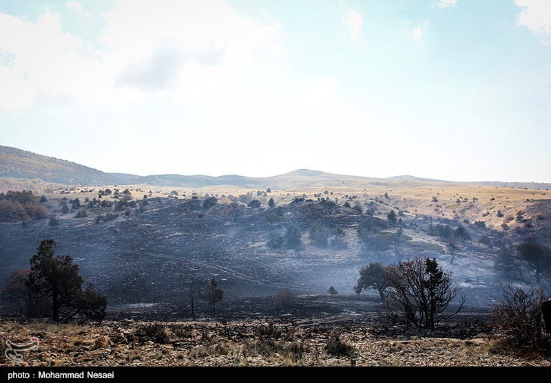 5 هکتار از عرصه‌های جنگلی شهرستان رامیان در آتش سوخت + فیلم