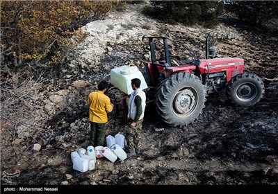 آتش سوزی در جنگل های پارک ملی گلستان