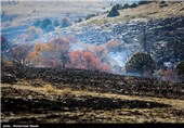 2 نقطه جنگلی در استان گلستان در آتش می‌سوزد