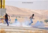 درگیری نظامیان صهیونیست با جوانان فلسطینی در رام الله و الخلیل