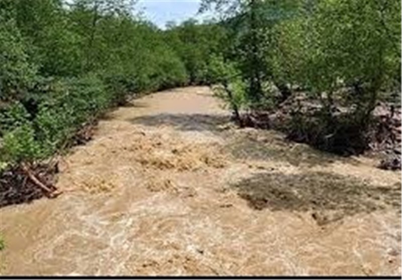 نقض حریم رودخانه‌ها، مهم‌ترین عامل خسارت ناشی از سیل در استان قزوین است