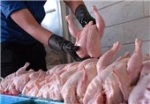 سالانه 50 هزار تن گوشت مرغ در استان سمنان تولید می‌شود