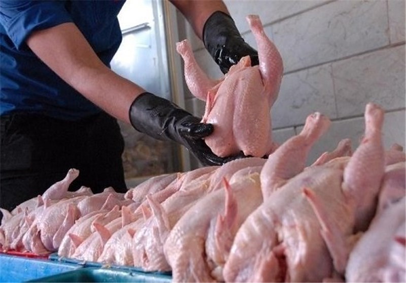 سلامت مرغ‌های مصرفی در قزوین تایید شد