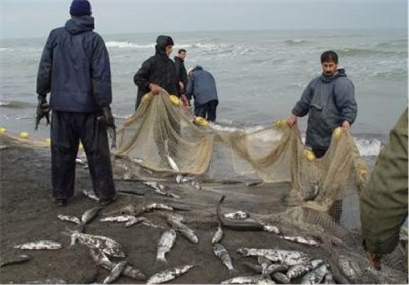 پیش‌بینی صید 2000 تن ماهی استخوانی از دریای خزر در سال 99؛ مشکل بیمه صیادان گیلانی حل می‌شود