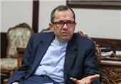 US Accusations against Iran Aim to Distract Attention from Killing of Iraqis: Envoy