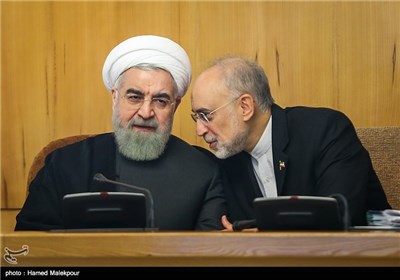 علی‌اکبر صالحی رئیس سازمان انرژی اتمی و حجت‌الاسلام حسن روحانی رئیس جمهور در جلسه هیئت دولت