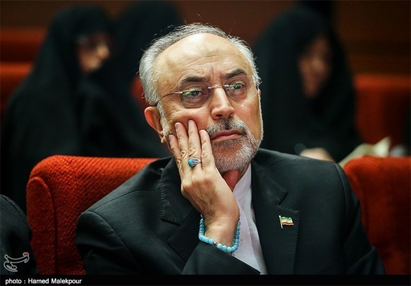 Iran Mulling Nuclear Fuel Exchange with Russia: AEOI Chief