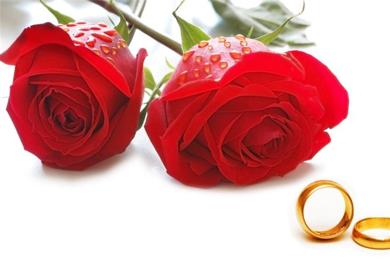 مجمع خیرین ازدواج در استان اردبیل راه‌اندازی می‌شود