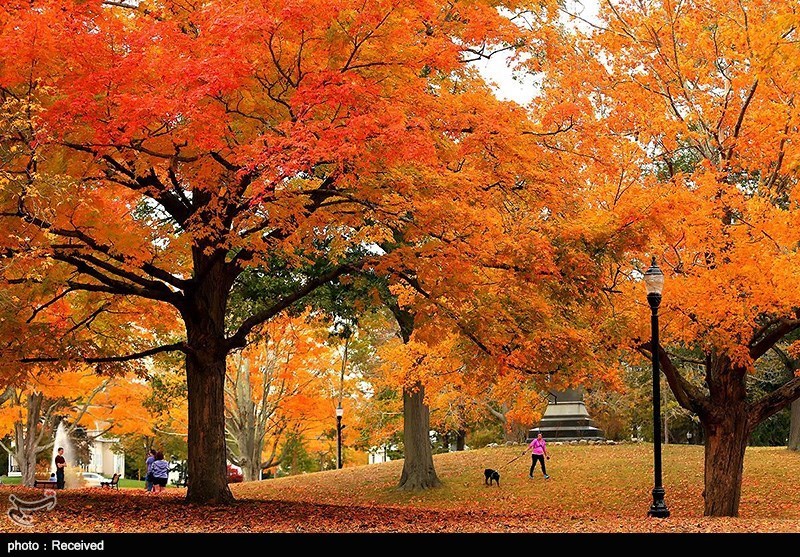 Country of Four Seasons: Iran A World inside A Country