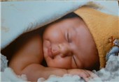 تولد بیش از 16 هزار نوزاد در زنجان