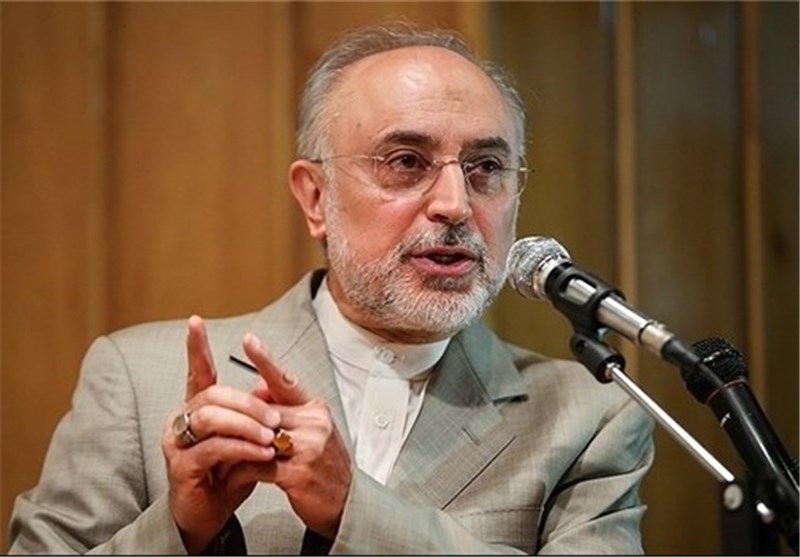 Arak Reactor Document, Legally Binding: Iran’s Nuclear Chief