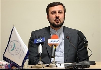 Iranian, Brazilian Envoys in Vienna Discuss Closer Cooperation