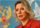Russian Diplomat Calls Germany’s Proposal on Navalny Case ‘An Excuse’