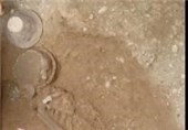 کشف عفونت در اسکلت بانوی 7 هزار ساله تهران