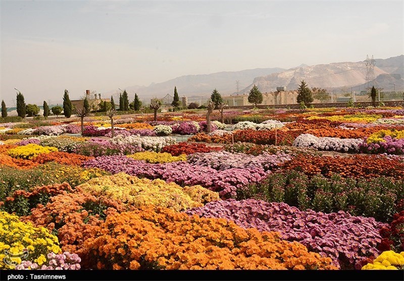 گلخانه‌های شهر محلات در ایام عید نوروز به روی گردشگران باز است