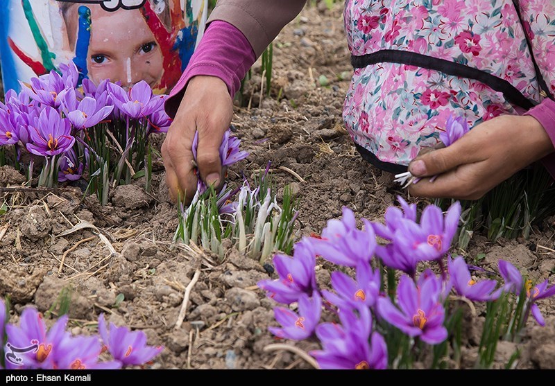 1400 طرح اشتغال برای مددجویان خلخالی ایجاد شد